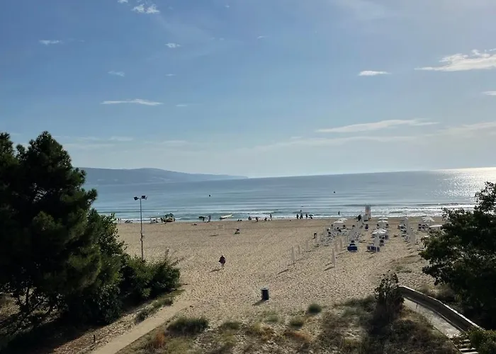 Gallery B ساني بيتش