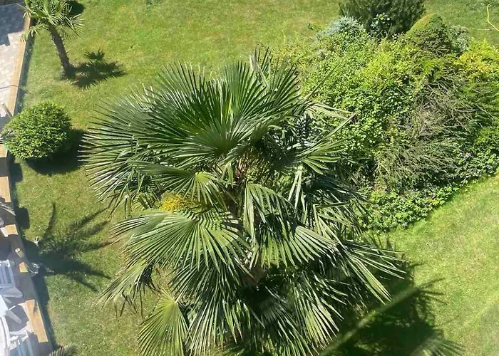 Gallery B Daire Sunny Beach